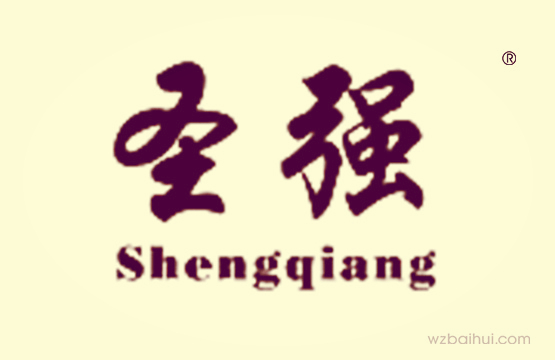 圣强SHENGQIANG
