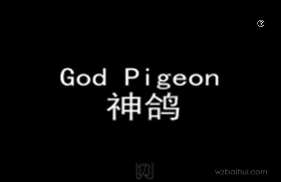 god pigeon神鸽