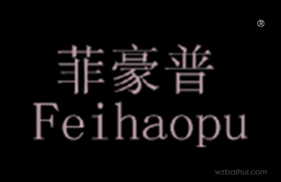 菲豪普+feihaopu