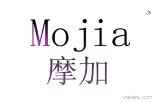 摩加+mojia