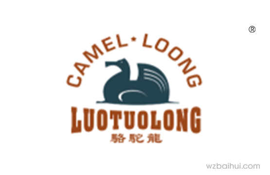 骆驼龙CAMEL LOONG