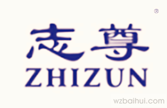 志尊ZHIZUN