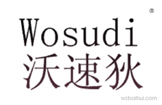 沃速狄+wosudi