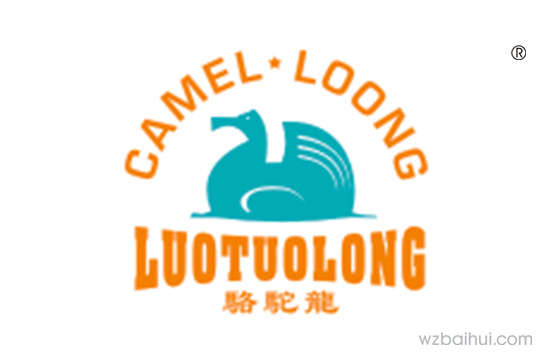 CAMEL LOONG