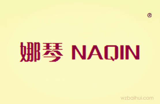 娜琴NAQIN
