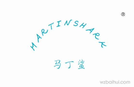 马丁鲨MARTINSHARK
