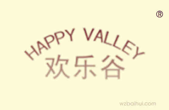 欢乐谷+HAPPY VALLEY