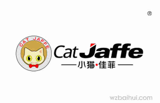 Cat jaffe 小猫佳菲24、28类同名