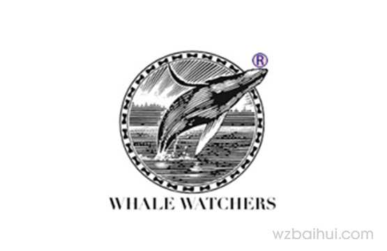 (译音) Whale Watchers 鲨鱼