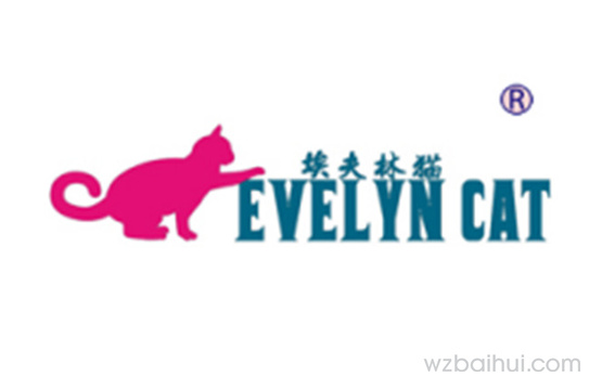 (译音) Evelyn cat 埃夫林猫