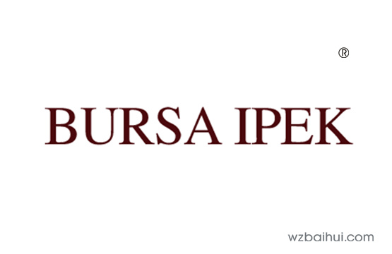 BURSA IPEK    (国际品牌)