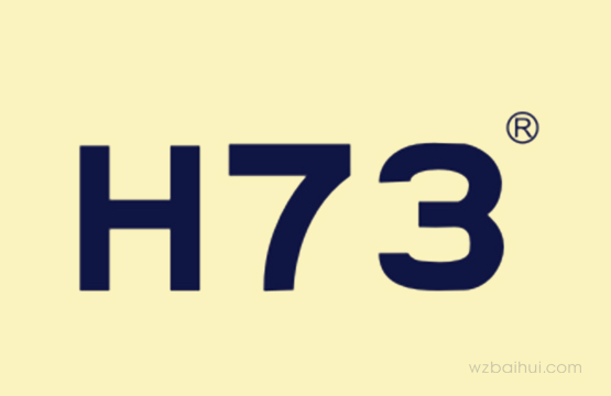 H73