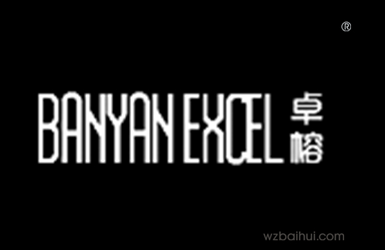 卓榕+BANYANEXCEL
