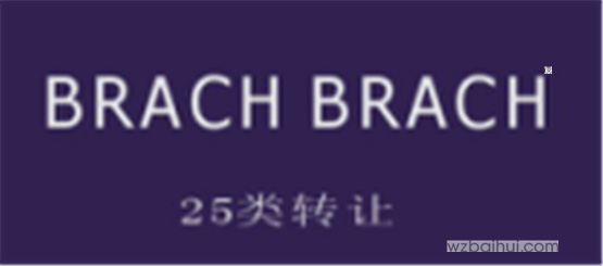 BRACHBRACH