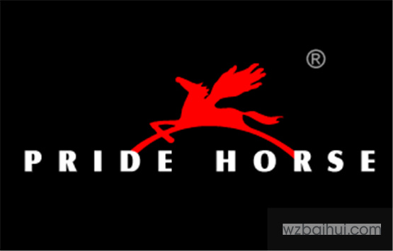 PRIDE HORSE