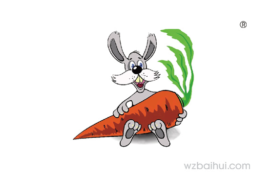 兔子
胡萝卜