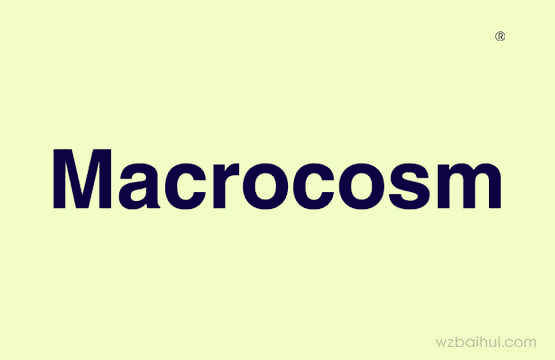 Macrocosm     (宏大)
